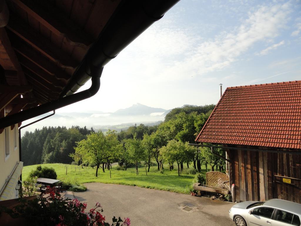 Hochsernerhof Hotel Tiefgraben ห้อง รูปภาพ