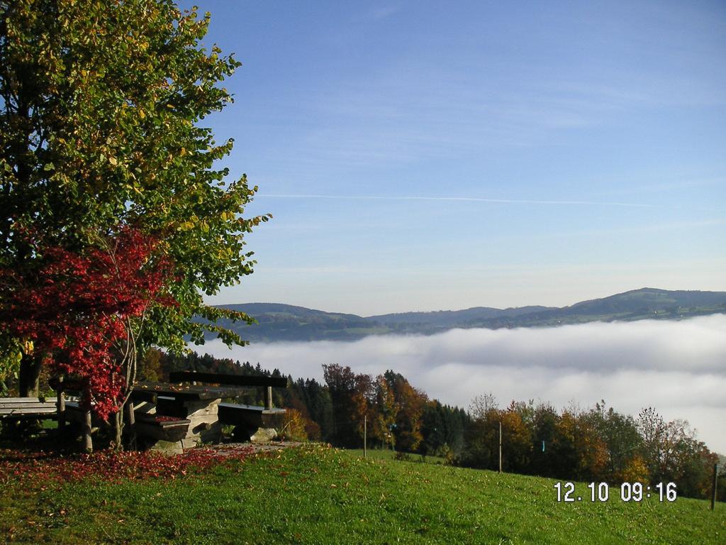 Hochsernerhof Hotel Tiefgraben ภายนอก รูปภาพ