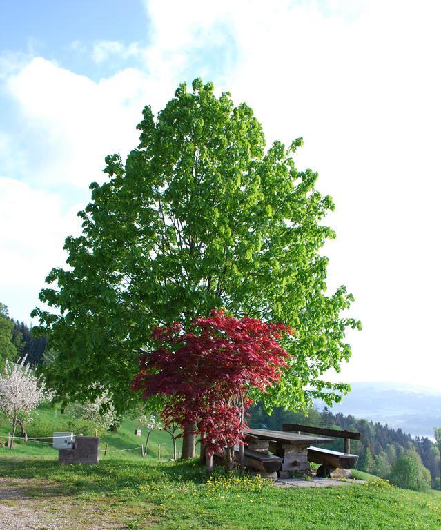 Hochsernerhof Hotel Tiefgraben ภายนอก รูปภาพ