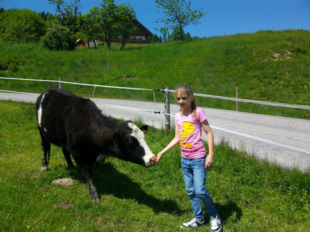 Hochsernerhof Hotel Tiefgraben ภายนอก รูปภาพ
